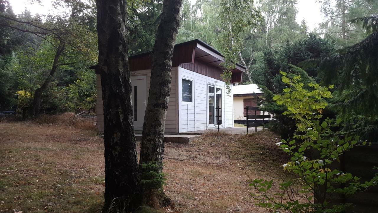 Bungalowdorf Klein Budelsdorf Altenberg  Zewnętrze zdjęcie